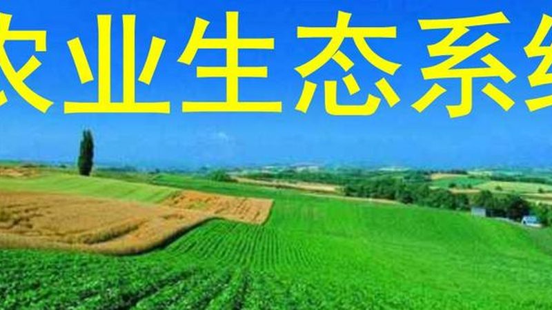 农业产业园规划：标准参数，指标解析