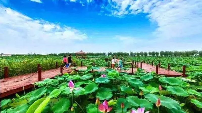 农旅融合项目申报，哪些条件是关键？**
