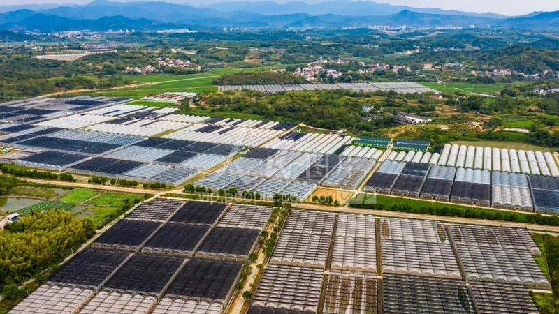 农业项目标准规范制定流程：从需求到实施
