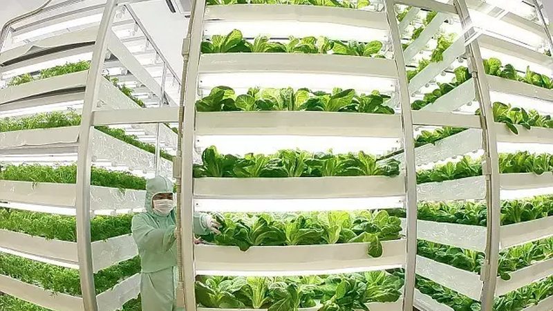 智慧农业主机设备主要分为以下几类：