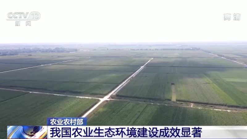 农资加盟店装修，这些规范你了解吗？**