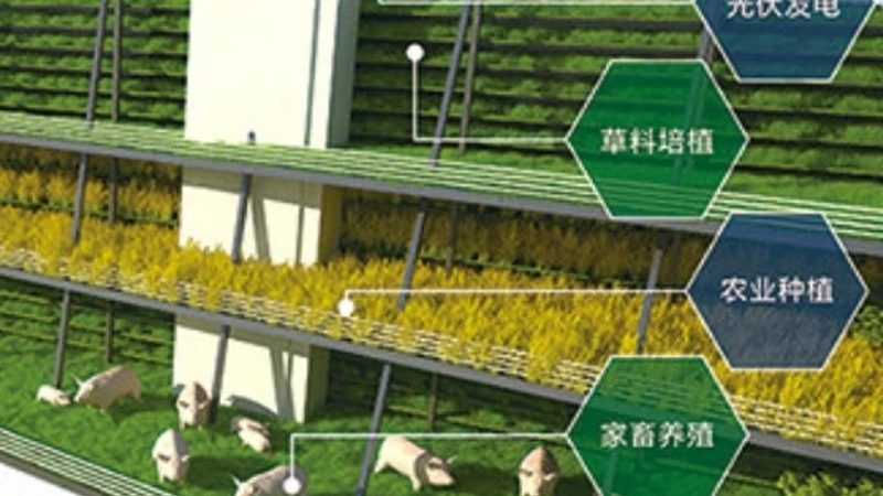 绿色食品认证标志：尺寸规格背后的意义