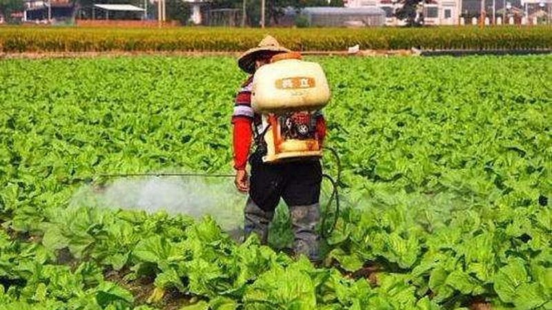 家庭农场种养结构怎么调整