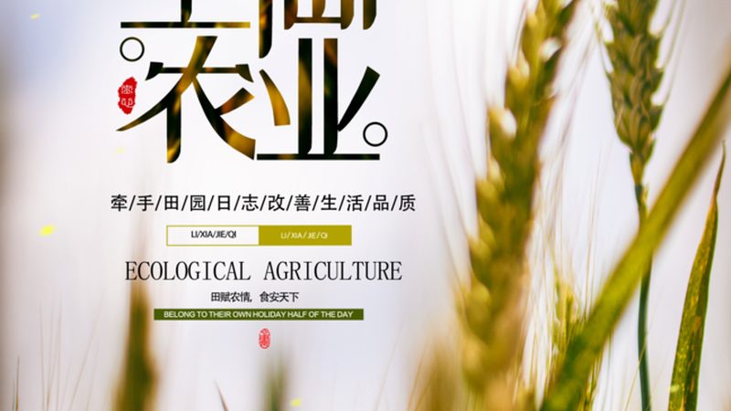 亲子农场开发流程：从规划到运营的全方位解析